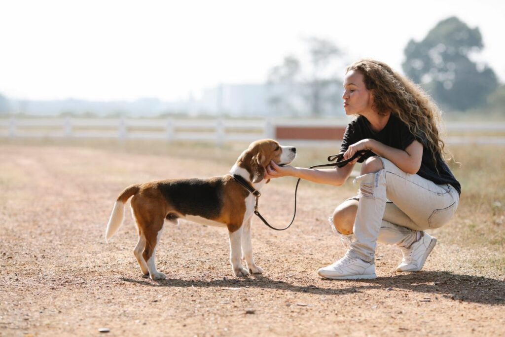 Autism emotional support animals can be such a positive influence.