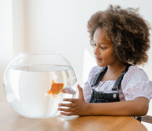 Autism and pets: Sometimes the perfect relationship can be something simple, such as a fish.