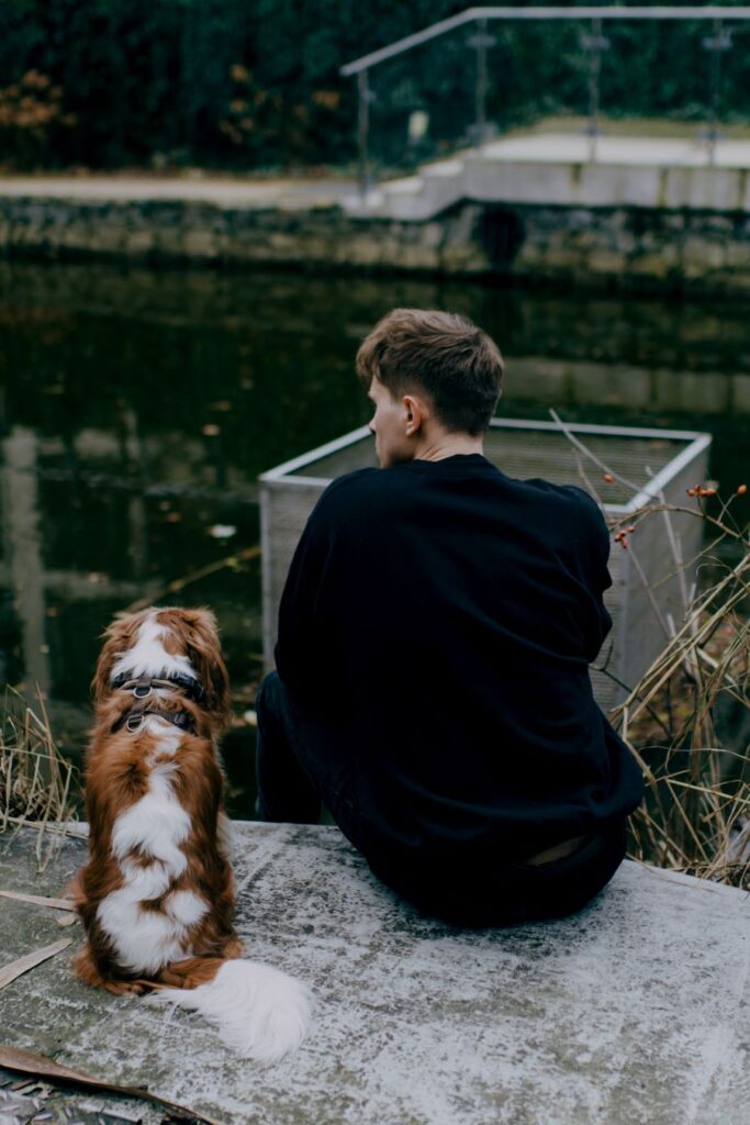 Autism emotional support animals can be a game changer.