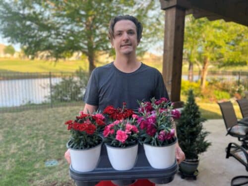 Nature therapy is a a great way to achieve relaxation and a refresh!