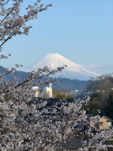 Traveling the world means seeing sites like Mt. Fuji in Japan. 